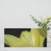 Carte Lily jaune par Shirley Taylor (Debout devant)