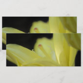 Carte Lily jaune par Shirley Taylor (Devant / Derrière)