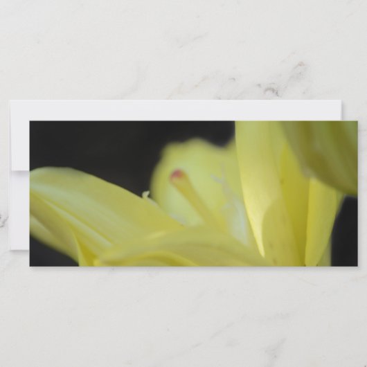 Carte Lily jaune par Shirley Taylor (Devant)