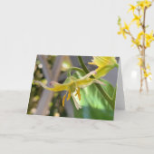 Carte Lily jaune vierge (Fleur jaune)