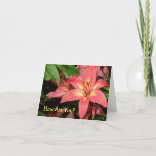 CARTE "LILY JOUR ORANGE-ROUGE ET JAUNE"