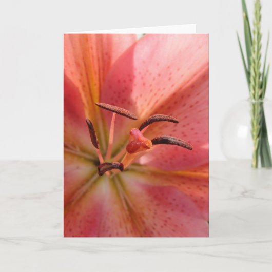 Carte Lily Macro (Devant)