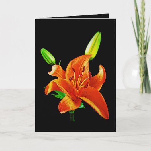 Carte Lily orange sur noir (Devant)