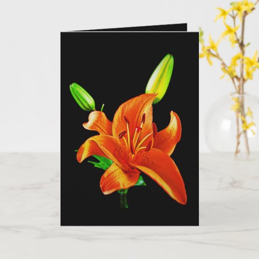 Carte Lily orange sur noir (Fleur jaune)
