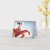 Carte Lily orange - Vide (Fleur jaune)