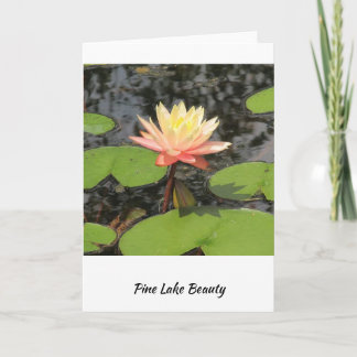 Carte Lily Pad beauté!