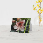 Carte Lily Rouge Et Blanc (Fleur jaune)