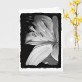 Carte Lily Sympathy (Fleur jaune)