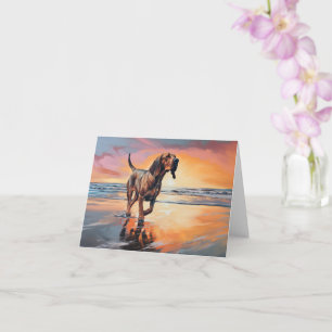 Carte Limier Sandy Paws sur la plage au coucher du solei