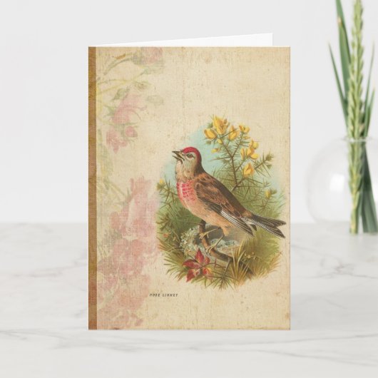 Carte Linnet rose (Devant)