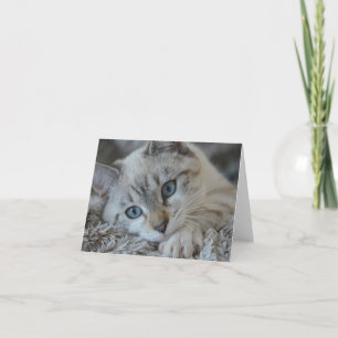Carte Linx Point
