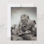 Carte Lion (Devant)