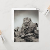 Carte Lion (Devant/Arrière en situation)