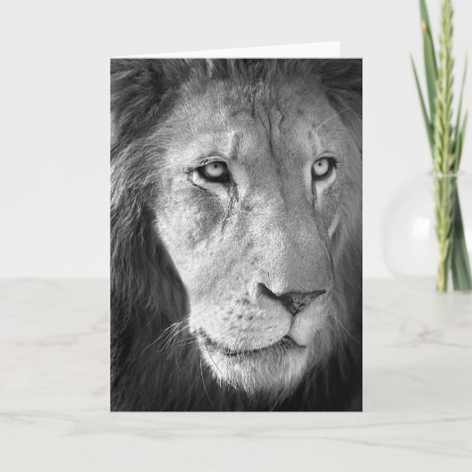 Carte Lion #1 (Devant)