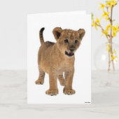 Carte Lion Baby Card (Fleur jaune)