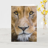 CARTE LION BANNITHDAY GREETING CARD (Fleur jaune)