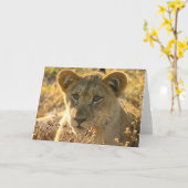 Carte Lion CUB de Selati (Fleur jaune)
