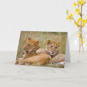 Carte Lion Cubs Lounge (Fleur jaune)