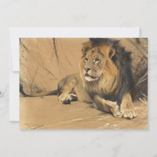 Carte Lion de repos Wilhelm Kuhnert