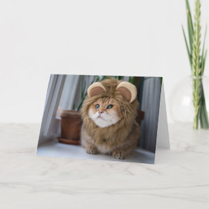 Carte Lion d'Hosico