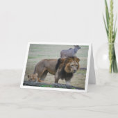 Carte Lion et Lionne (Devant)