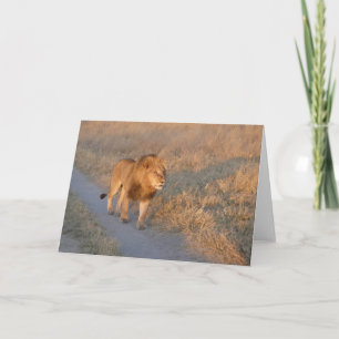 CARTE LION MÂLE AUX AGUETS