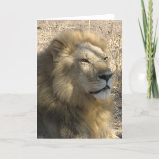 Carte Lion masculin