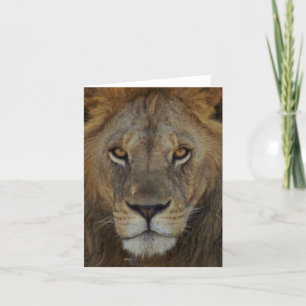 Carte Lion masculin
