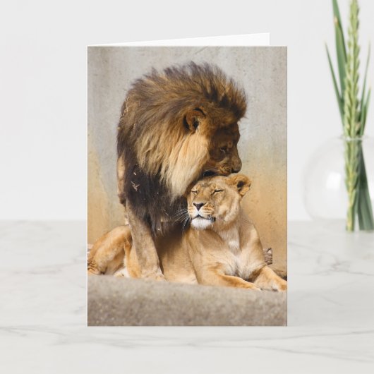 Carte Lion masculin et femelle dans l'amour (Devant)