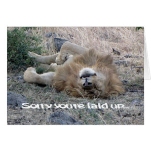 Carte Lion "mise en place" (Masai Mara)