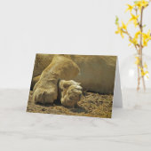 Carte Lion Paws (Fleur jaune)