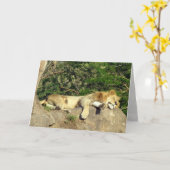 Carte Lion - Roi de la Jungle - Relaxant (Fleur jaune)