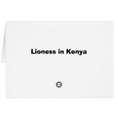 Carte Lioness au Kenya (Dos Horizontal)