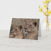 Carte Lionesses d'alerte (Fleur jaune)