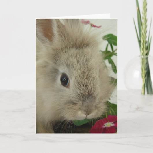 Carte Lionhead Bunny Toutes les Occasions (Devant)