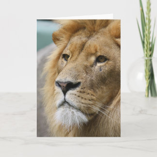 Carte LionKing