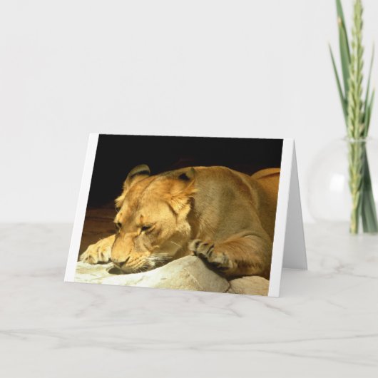 Carte Lionne (Devant)