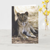 Carte Lionne (Fleur jaune)