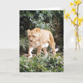 Carte Lionne au printemps (Fleur jaune)