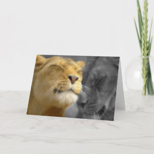 Carte Lions amoureux