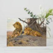 Carte Lions rugissant | Wilhelm Kuhnert (Debout devant)