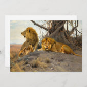 Carte Lions rugissant | Wilhelm Kuhnert (Devant / Derrière)