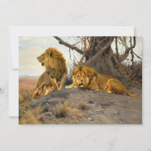 Carte Lions rugissant Wilhelm Kuhnert