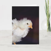 Carte Liquide (Devant)