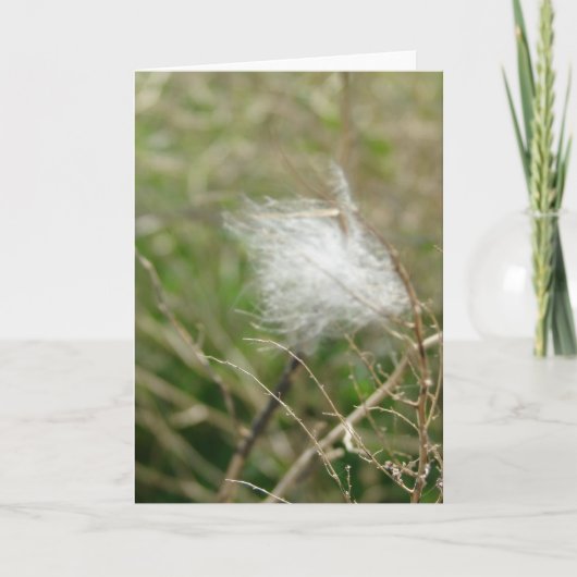 Carte Liquide (Devant)