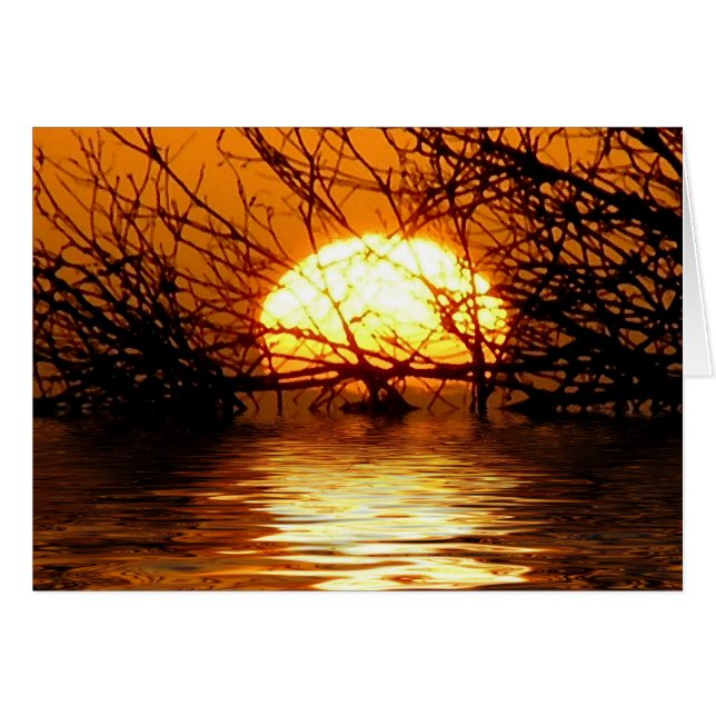 CARTE liquide de coucher du soleil (Devant horizontal)