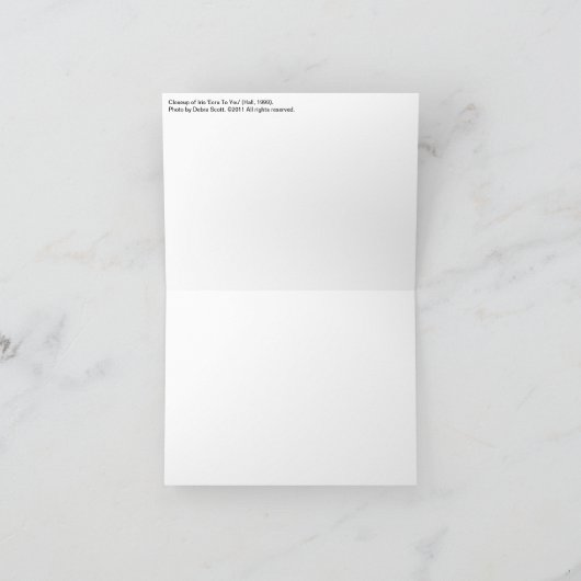 Carte L'Iris de New Day (Intérieur)