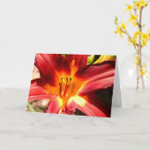 Carte Lis (Fleur jaune)