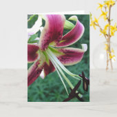 Carte Lis (Fleur jaune)