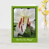 Carte Lis blanc oriental (Fleur jaune)